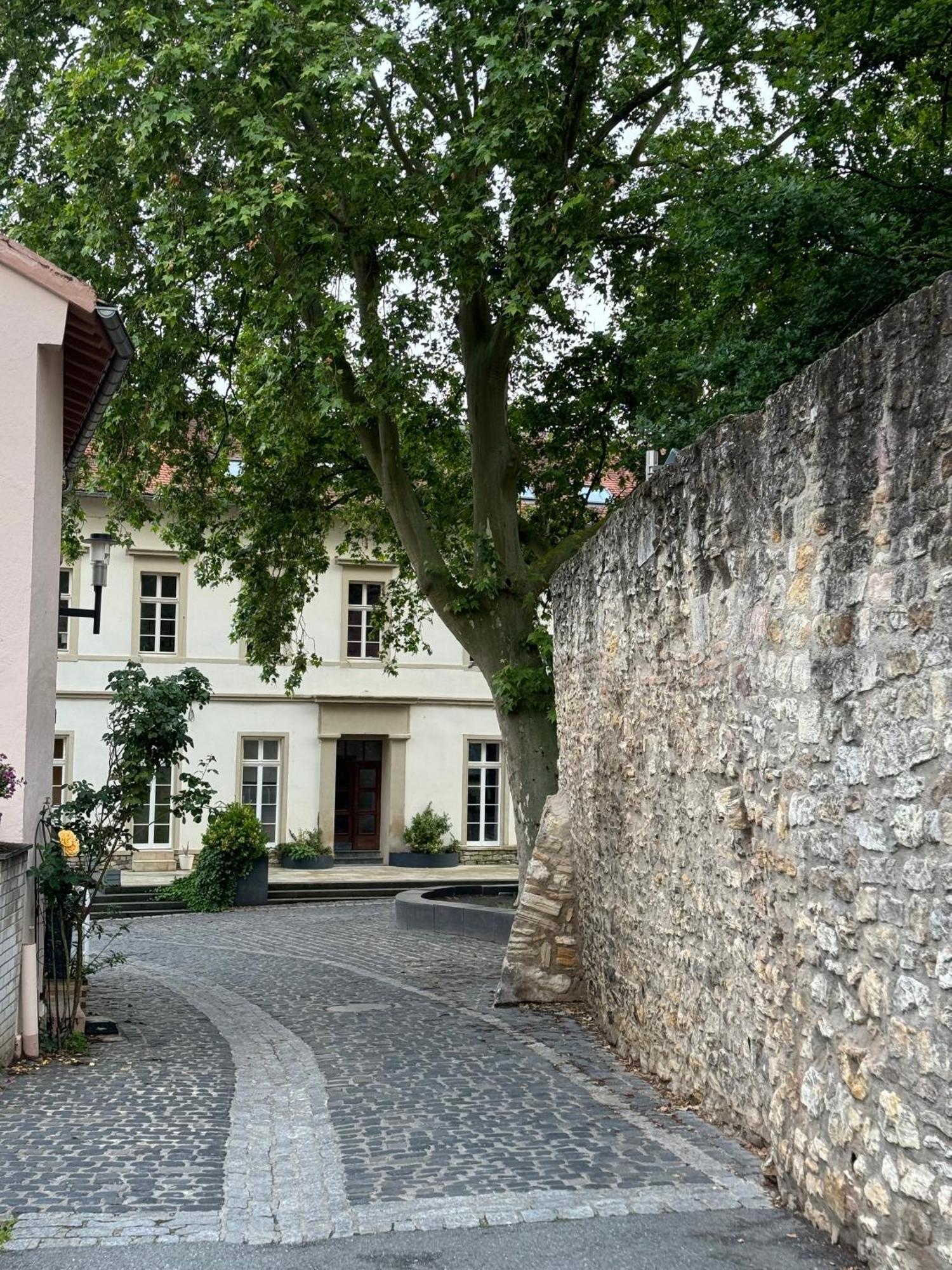 Rheinblick-Oase Oppenheim Apartment Exterior photo